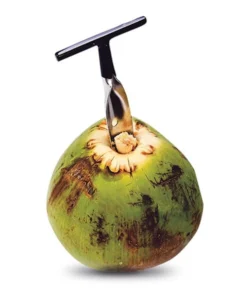 Coconut Hole Opener